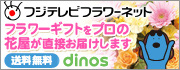 株式会社dinos